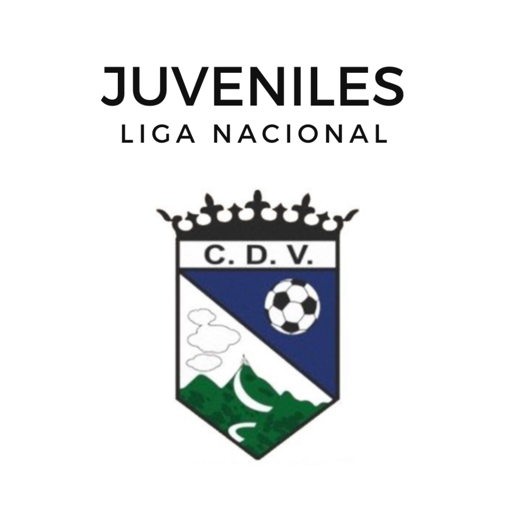 Liga Nacional Juvenil de Fútbol Grupo 1 Galicia 